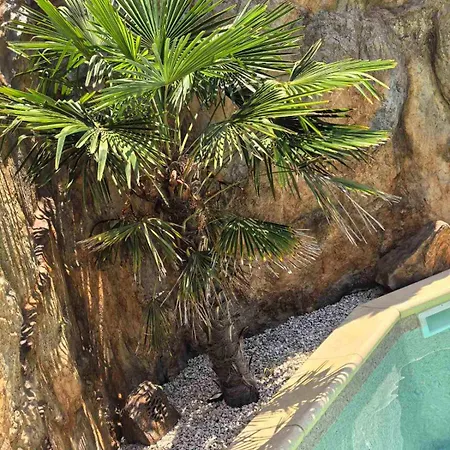 アパート Palmas Garden