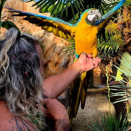 アパート Palmas Garden *