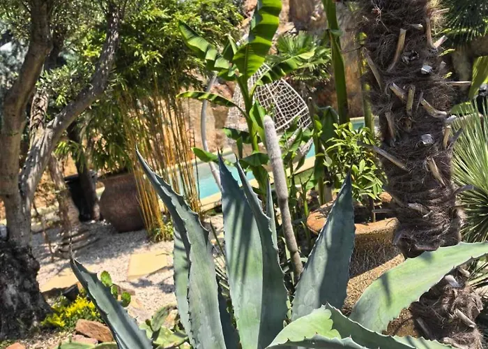 Palmas Garden Apartament *