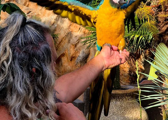 Apartament Palmas Garden *